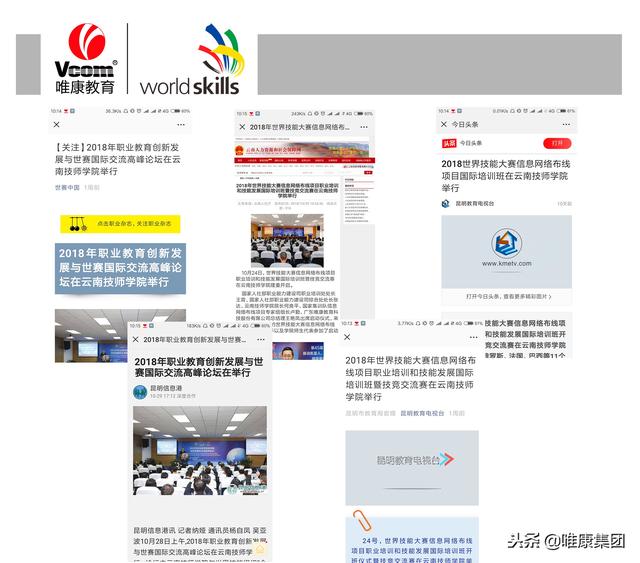 屆國際培訓班暨競技交流賽舉行，10國專家齊聚云南